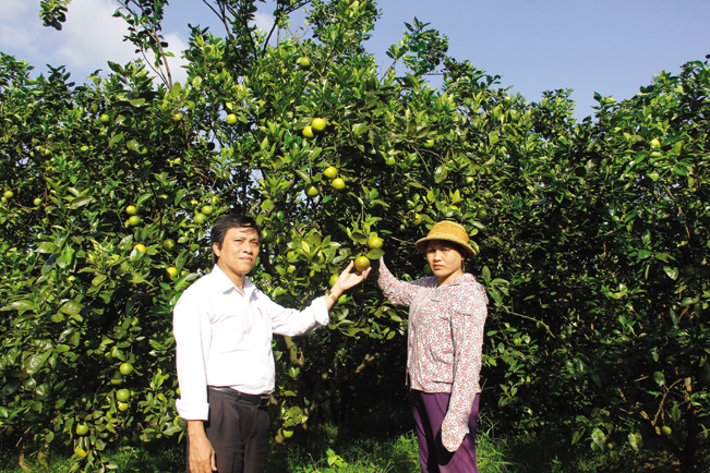 Ông Trần Huệ - Giám đốc Agribank Chi nhánh huyện Hải Lăng (trái) trò chuyện với bà Văn Thị Lệ Hà - triệu phú trồng cam K4.
