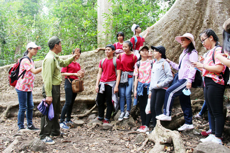 Giáo viên, học sinh Trường THPT Thanh Bình nghe kiểm lâm viên chia sẻ về cây tung có bộ rễ khổng lồ.