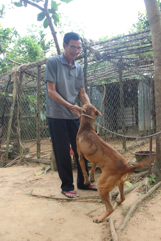 Ông Năm Cưa vuốt ve con Vện tinh khôn của mình.