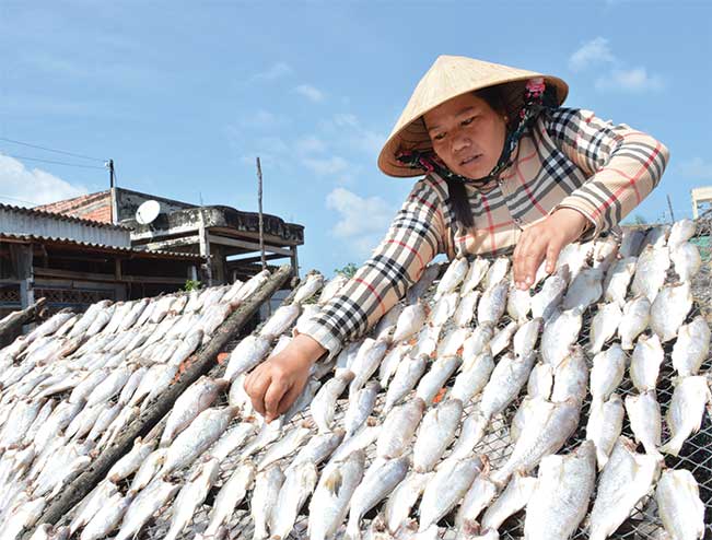 Làng cá khô Cái Đôi Vàm (huyện Phú Tân) tăng sản lượng lên gấp đôi dịp Tết.