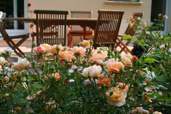 Đặt bộ bàn ghế ăn ra vườn khi không gian sân vườn được điểm tô với những loài hoa của mùa xuân. Những vị khách đến nhà sẽ rất yêu thích khu vườn và ý tưởng trò chuyện bên cạnh thiên nhiên của bạn.