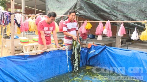 Anh Tân dùng vải bạt làm bể bán kiên cố nuôi lươn thịt để giới thiệu, hướng dẫn cách nuôi lươn cho bà con.