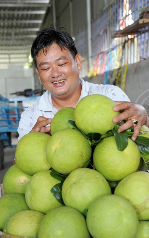 Hiện nay, đặc sản bưởi Năm Roi Việt Nam và được đăng ký bản quyền toàn cầu. Cái tên Wildboi đã có mặt trong các siêu thị lớn tại Hà Lan, Nga, Hong Kong, Philippines…