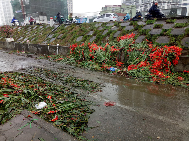Các bó hoa lay ơn bị đổ bỏ chật kín các thùng rác tại chợ Quảng An (Hà Nội)