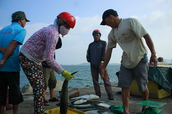 Nhiều người tới mua cá để tết ăn. Ảnh: NGUYỄN TRANG