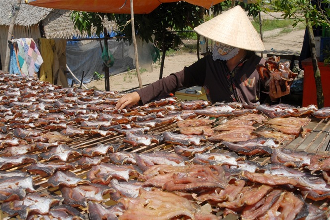 Cá lóc được phơi khô để dành ăn trong những ngày tết