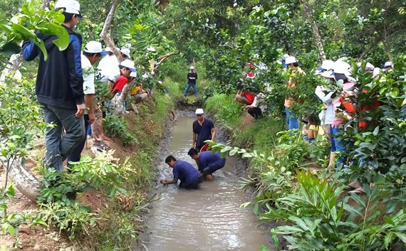 Du lịch miệt vườn ở huyện Phong Điền (Cần Thơ) thu hút nhiều du khách Ảnh: LÊ PHƯƠNG