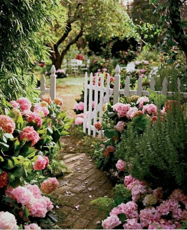 Trồng hoa ở hai bên lối đi để khoảng diện tích dạo bộ trong vườn đẹp như chuyện cổ tích.