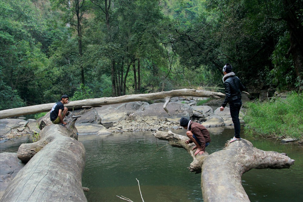 Khu vực thác không chỉ thích hợp để tắm thác, hạ trại mà còn có thể trải nghiệm câu cá suối và thưởng thức vị ngon của nó.