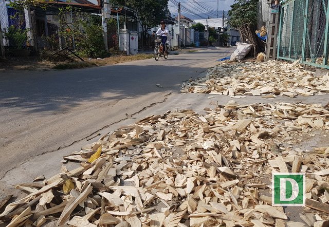 Vỏ cây dó bầu cũng được người dân phơi khô, có thể xay thành bột làm nhang đốt.