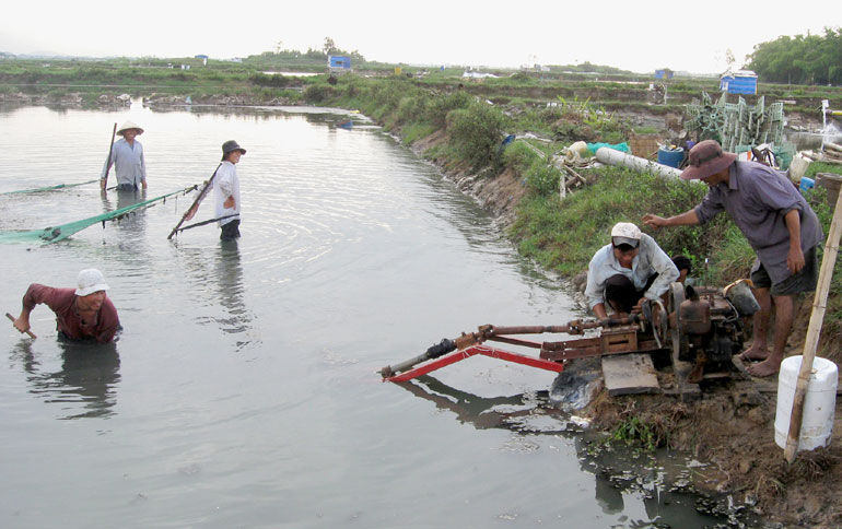 Người nuôi tôm ở hạ lưu sông Bàn Thạch (huyện Đông Hòa) đang xử lý ao nuôi chuẩn bị thả tôm (Ảnh: Anh Ngọc; nguồn: Báo Phú Yên)