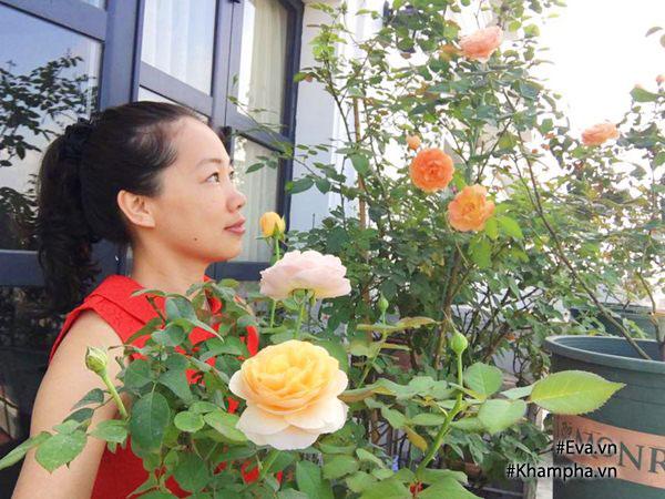 Chị Hà bên hoa hồng Juliet rose. Chị trồng hoa hồng từ năm 2013.