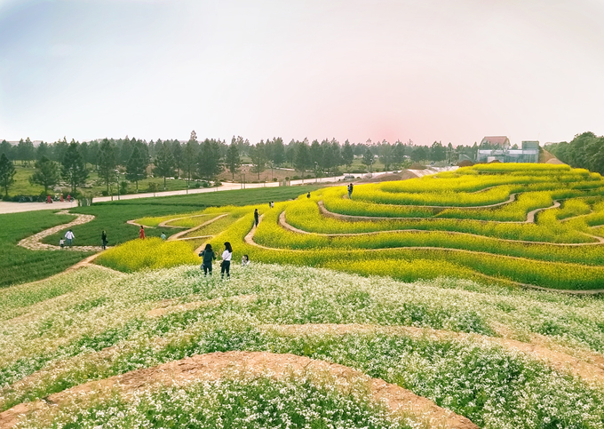 Hiện du khách không mất phí vào khu sinh thái nhưng vào vườn chụp ảnh, phí là 20.000 đồng. 