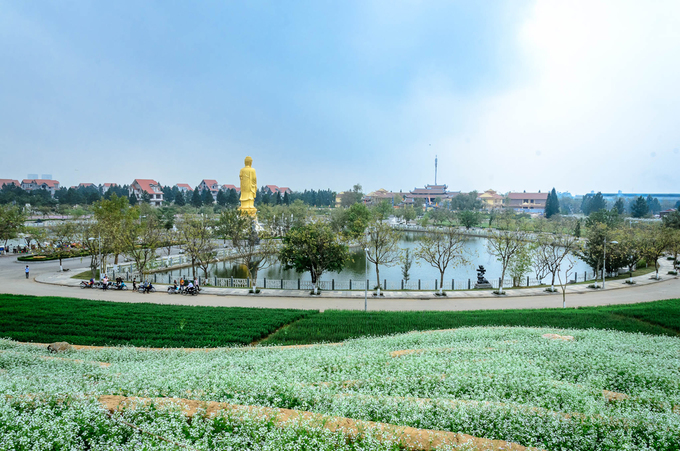 Toàn cảnh khu sinh thái.