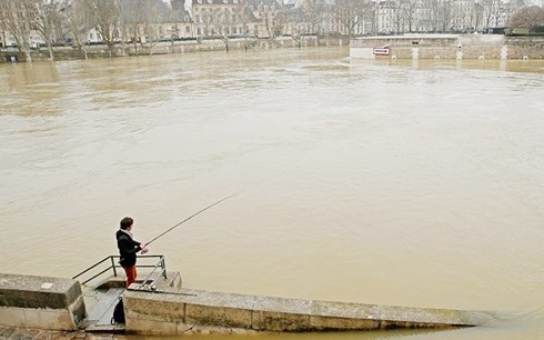 Một người dân câu cá tại Paris. (Ảnh: AP)