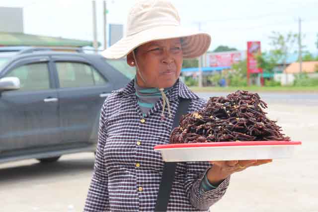 dung toc gay chung kien nguoi dan an ngon ca gian, ret, nhen, de hinh anh 2