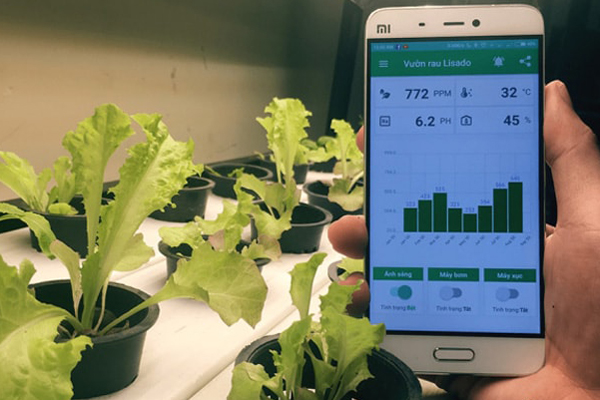 Ứng dụng giám sát việc trồng và chăm sóc rau tự động trên điện thoại di động. Ảnh: Nhân vật cung cấp.