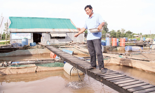 Anh Bảy Bon đang cho cá ăn.