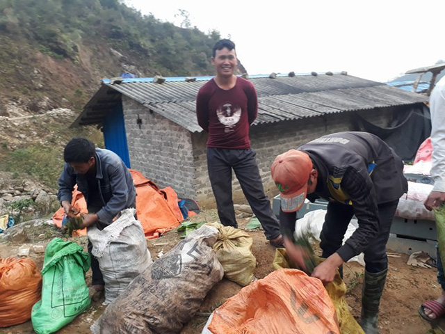 Rau dớn được bà con vùng cao hái tư rừng về đóng thành từng bao tải, bán cho thương lái Trung Quốc kiếm thêm thu nhập.