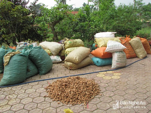 thu phu tinh bot nghe cung 