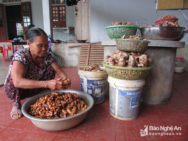 thu phu tinh bot nghe cung 