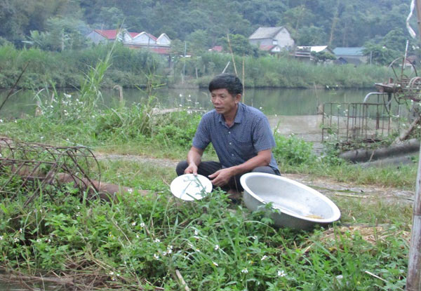 Ông Nguyễn Đức Hữu theo dõi quá trình phát triển của đàn cá.