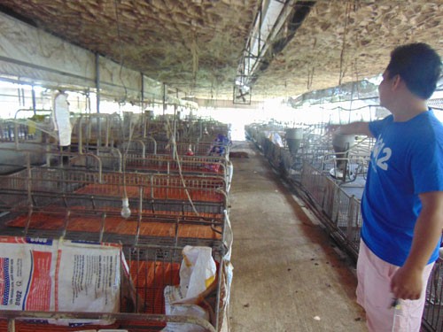Chuồng trại chăn nuôi heo bỏ không tại xã Bắc Sơn, huyện Trảng Bom, tỉnh Đồng Nai.