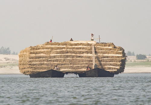 Những người nông dân ở phía bắc Bangladesh chở đụn cỏ khô trên hai chiếc thuyền gỗ chạy song song. Ảnh: Touhid Parvez.