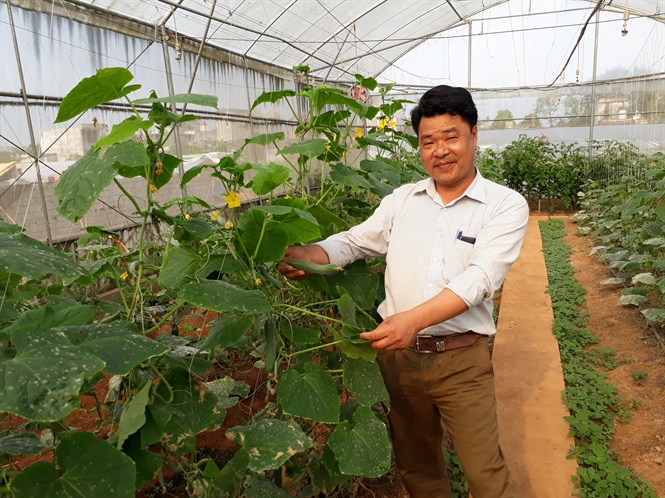 Ông Nguyễn Xuân Thiên thu được nhiều thành công từ mô hình ứng dụng nông nghiệp công nghệ cao (Ảnh: VK)