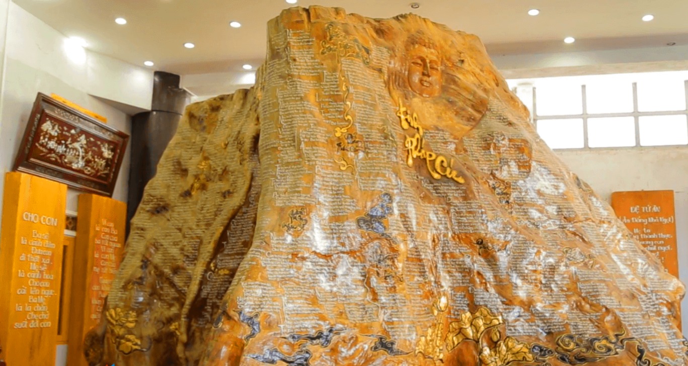 Cận cảnh gốc cây trâm vàng lớn nhất Việt Nam.