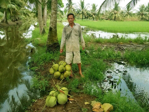 lam giau o nong thon: dui tui 800 nghin/ngay tu 300 cay dua hinh anh 3