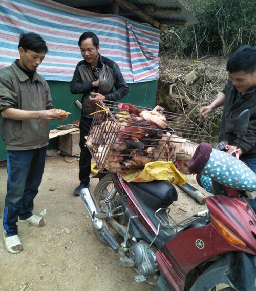 tuan “nung” giup ca thon lam giau tu chan nuoi ga tha doi hinh anh 3