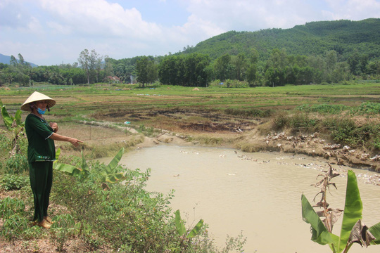 Người chăn nuôi vịt chạy đồng ở xã Ân Phong thắc mắc vì khoản thu phí lạ đời.