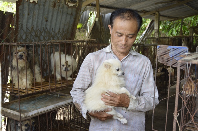 Áp lực dư luận với trang trại nuôi chó thịt Hàn Quốc  VnExpress