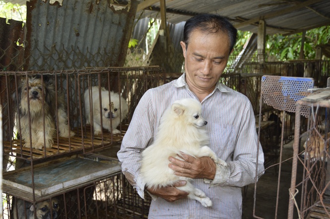 Ông Nguyên chia sẻ kỹ thuật nuôi chó kiểng.