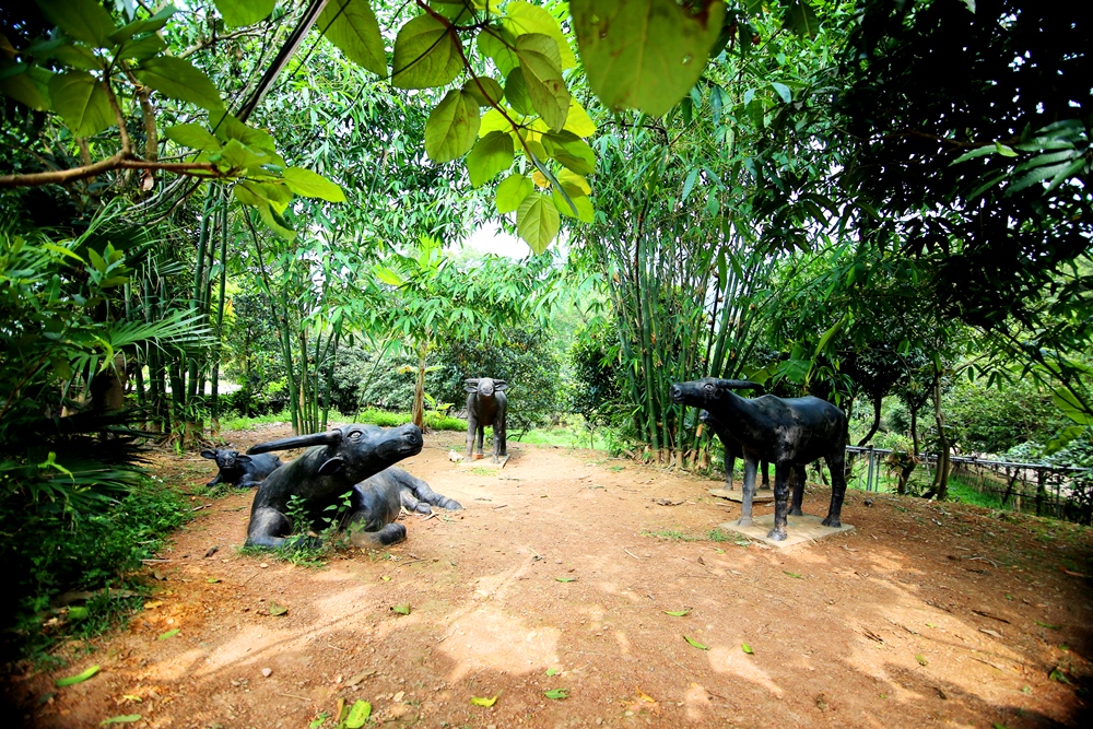 Không gian xanh mát bên trong khu du lịch sinh thái Bản Rõm.