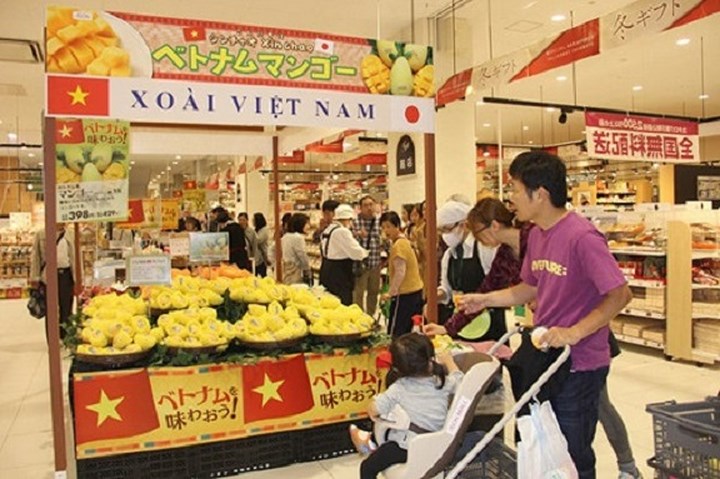 Giá xoài của Việt Nam tại các siêu thị Nhật Bản khoảng 8-10 USD/kg. Với giá như vậy, một quả nhỏ có giá khoảng hơn 70.000 đồng và quả lớn khoảng 100.000 đồng, chưa tính thuế. (Ảnh: Vnexpress)