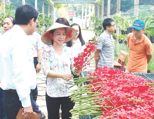 Chị Đặng Lê Thị Thanh Huyền đang trao đổi kinh nghiệm trồng lan với ông Trần Trường Sơn - Phó Chủ tịch Hội Nông dân TP.HCM.