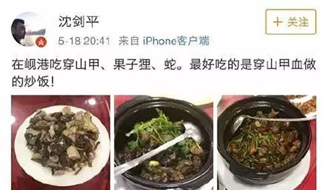 Những món nhậu làm từ thịt tê tê và cầy hương mà ông Shen ăn tại Đà Nẵng được ông đăng tải trên Weibo. (Nguồn: SCMP)