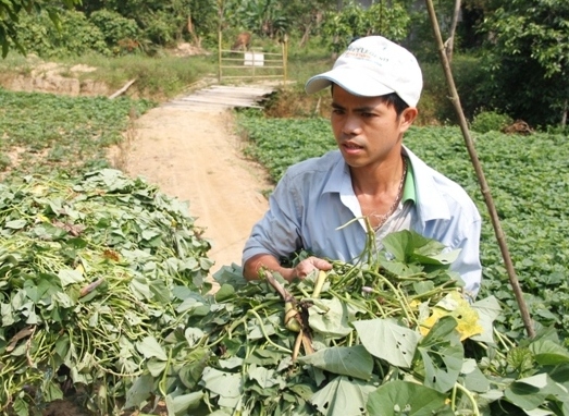 Đỗ Phúc Thịnh là chàng 9X được nhiều người biết đến với đức tính cần cù, chịu khó, biết làm ăn. Ảnh: Ngọc Vũ