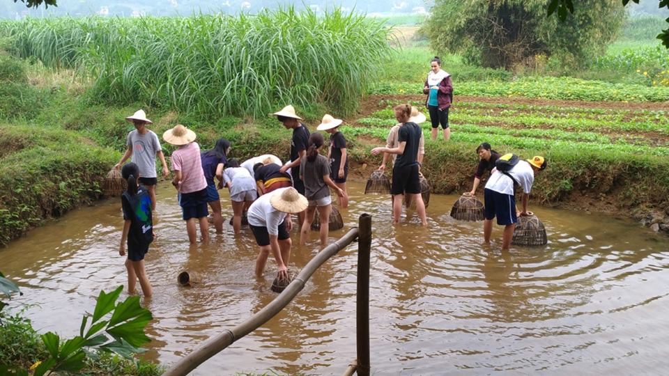 Các em nhỏ thích thú khi được thử làm nông dân chính hiệu khi tự trồng, thu hoạch rau rừng, thảo dược, xay lúa, giã gạo, tát nước, úp nơm bắt cá và nướng cá bằng rơm...Ảnh: Quỳnh Trang