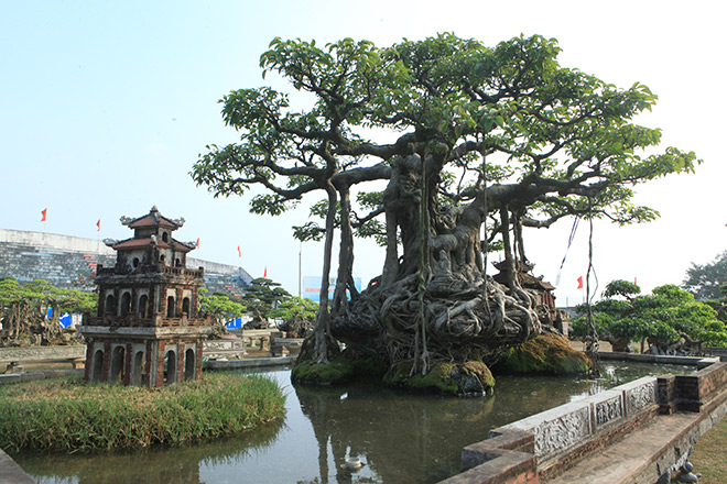 “Thời điểm đó, để thuyết phục người bán sang nhượng, tôi phải mất rất nhiều công sức, thời gian. Ban đầu, họ nhất quyết từ chối dù tôi có trả giá cao cỡ nào, chỉ đến khi cần tiền đào ao, gia đình đó mới tiếc nuối bán lại cho tôi với giá khoảng 10 cây vàng”, ông Khoa kể.