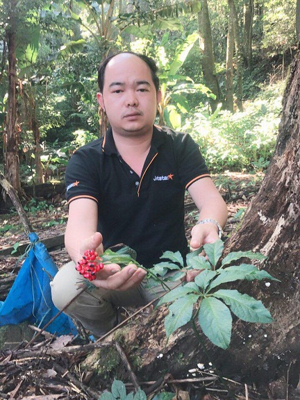 Một cây sâm Ngọc Linh hàng chục năm tuổi cho trái với giá trị kinh tế cao (Trong ảnh: Ông Lương Tấn Oanh - Giám đốc Công ty TNHH Nấm lim xanh Tiên Phước bên vườn sâm của mình).