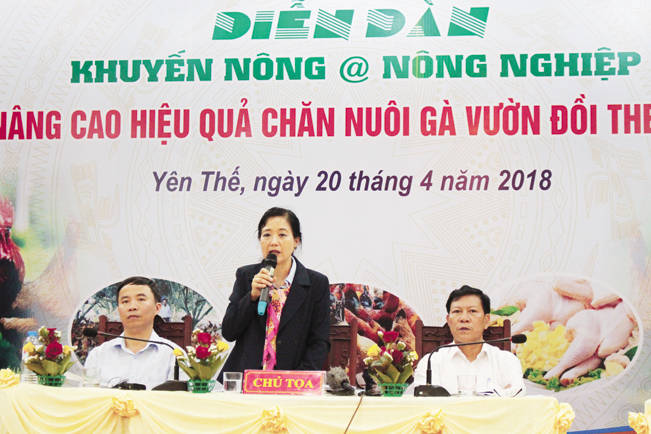 Diễn đàn thu hút được đông đảo các cơ quan, tổ chức, doanh nghiệp chăn nuôi gà tại các tỉnh tới tham dự. Hải Đăng