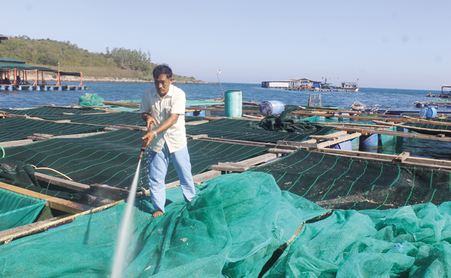 Người nuôi trồng thủy sản rất chú trọng vấn đề làm vệ sinh lồng nuôi. CT