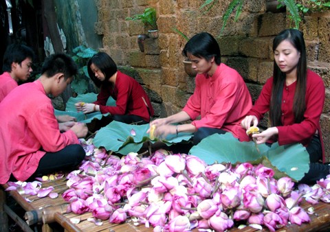 Sen đưa về nhà, đến công đoạn bóc cánh hoa để lấy nhụy, sau đó dùng sàng để sàng lấy hạt gạo.