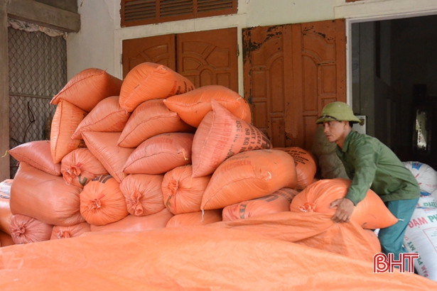Mỗi năm, anh Hoa thu hoạch khoảng 40 tấn thóc, bán được hơn 200 triệu đồng.