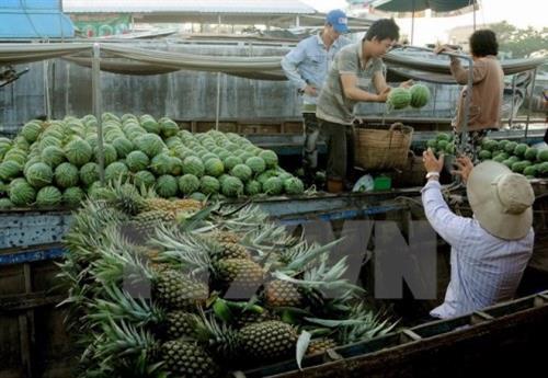 Trái cây là mặt hàng đặc trưng được người dân mua bán nhiều nhất tại Chợ nổi Cái Răng, thành phố Cần Thơ. Ảnh: TTXVN