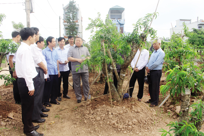 Ông Thào Xuân Sùng - Chủ tịch TƯ Hội Nông dân về thăm và làm việc với Hội Nông dân tỉnh Thái Bình. N.T