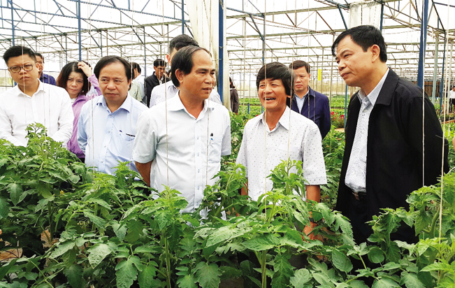 Bộ trưởng Nguyễn Xuân Cường thăm Trung tâm giống vật nuôi, mô hình sản xuất rau, cà phê, hồ tiêu theo chuẩn VietGap tại Gia Lai.